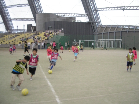 IMGP0148.JPG